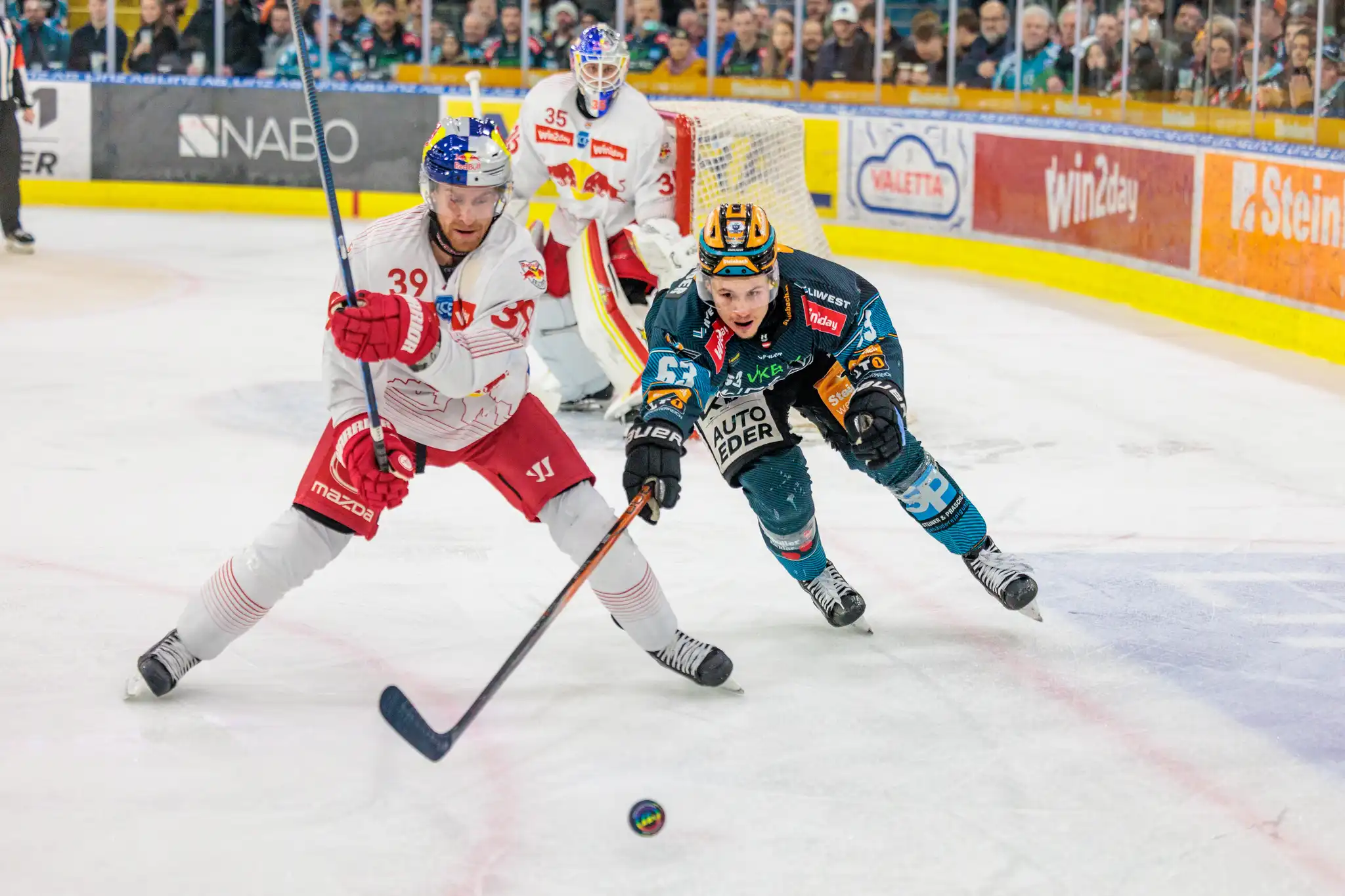 Ein Eishockeyspieler im weißen Red Bull Trikot und ein Gegner im dunklen Black Wings Trikot kämpfen intensiv um den Puck auf dem Eis