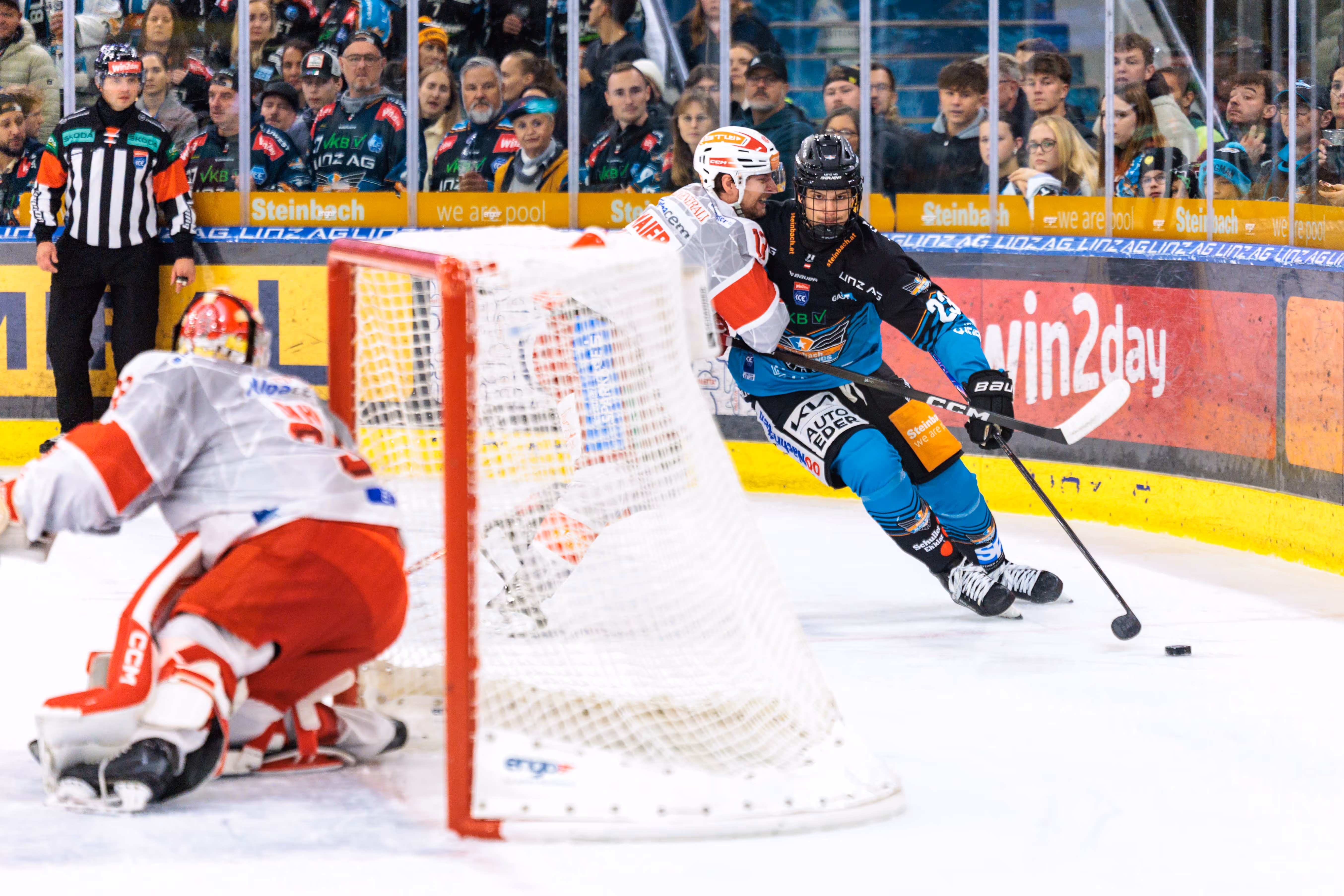 Ein Angreifer der Steinbach Black Wings Linz kontrolliert den Puck hinter dem Tor des EC-KAC, während der gegnerische Goalie die Spielszene beobachtet