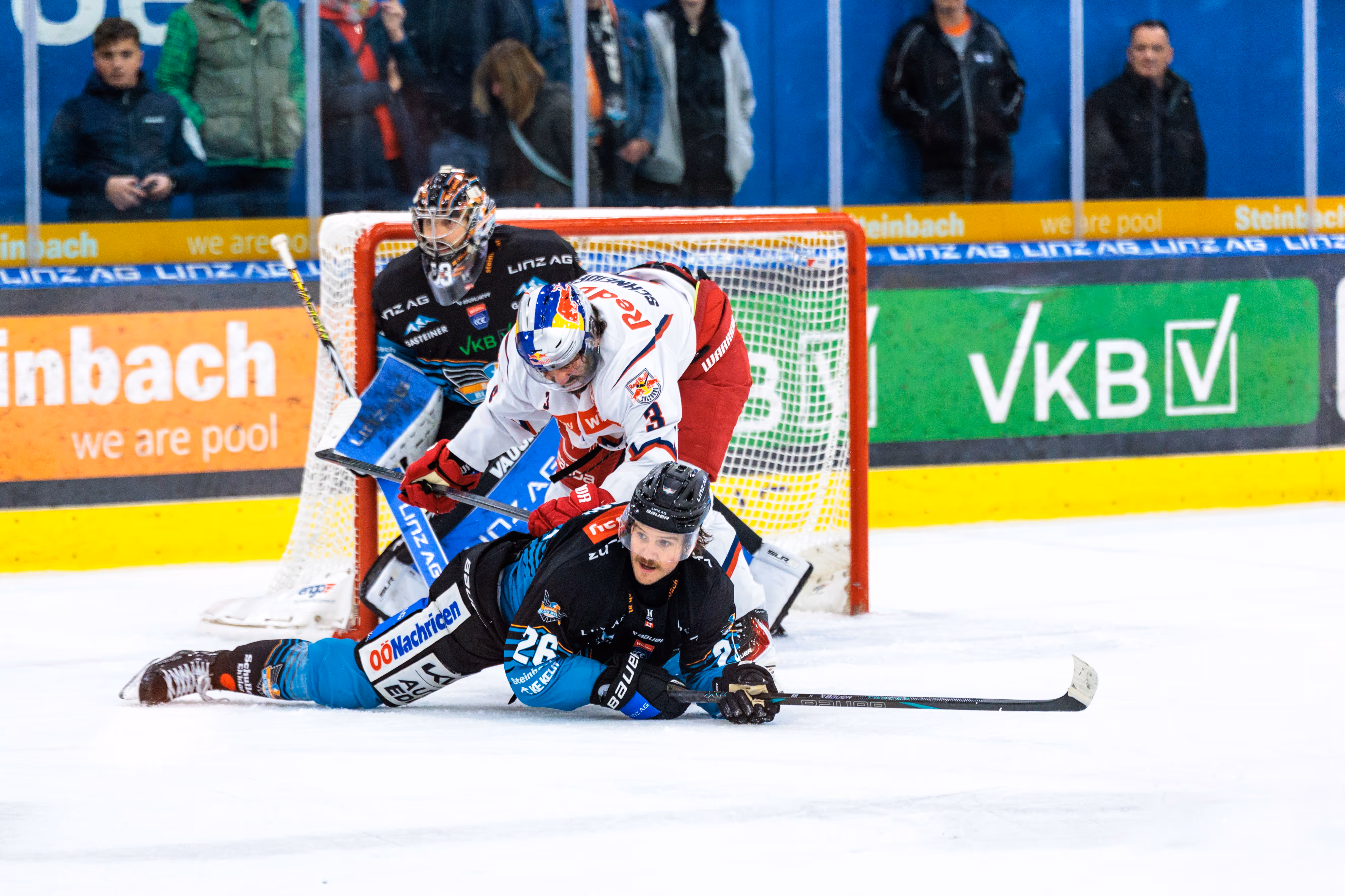 Der Stürmer der Steinbach Black Wings Linz, Travis Barron, kämpft auf dem Eis liegend im Torraum gegen Peter Schneider vom EC Red Bull Salzburg