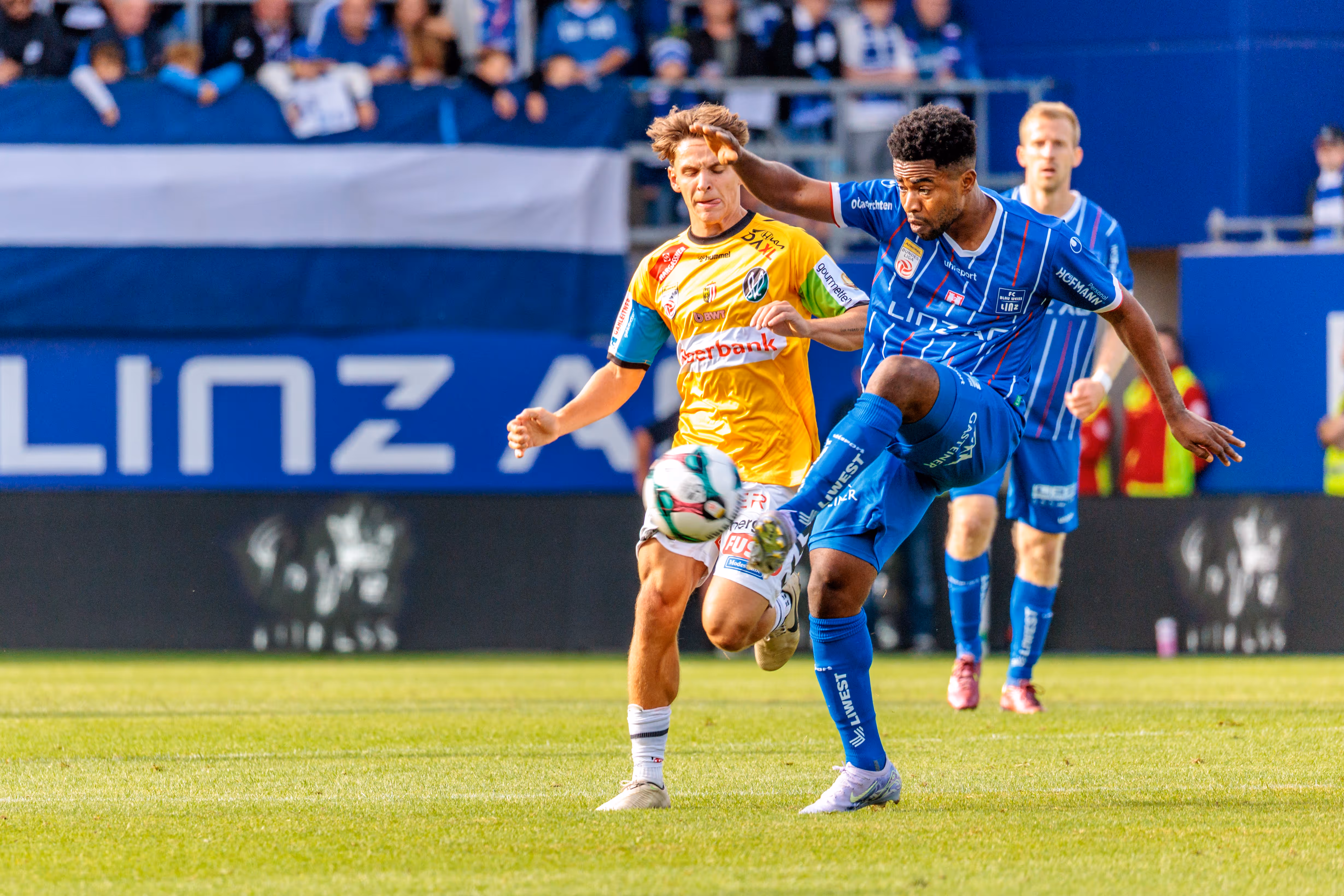 Ein Spieler von Blau-Weiß Linz in blau-weiß gestreiftem Trikot und ein Spieler der SV Ried in gelbem Trikot sind in einem intensiven Zweikampf um den Fußball im Mittelfeld der Bundesliga