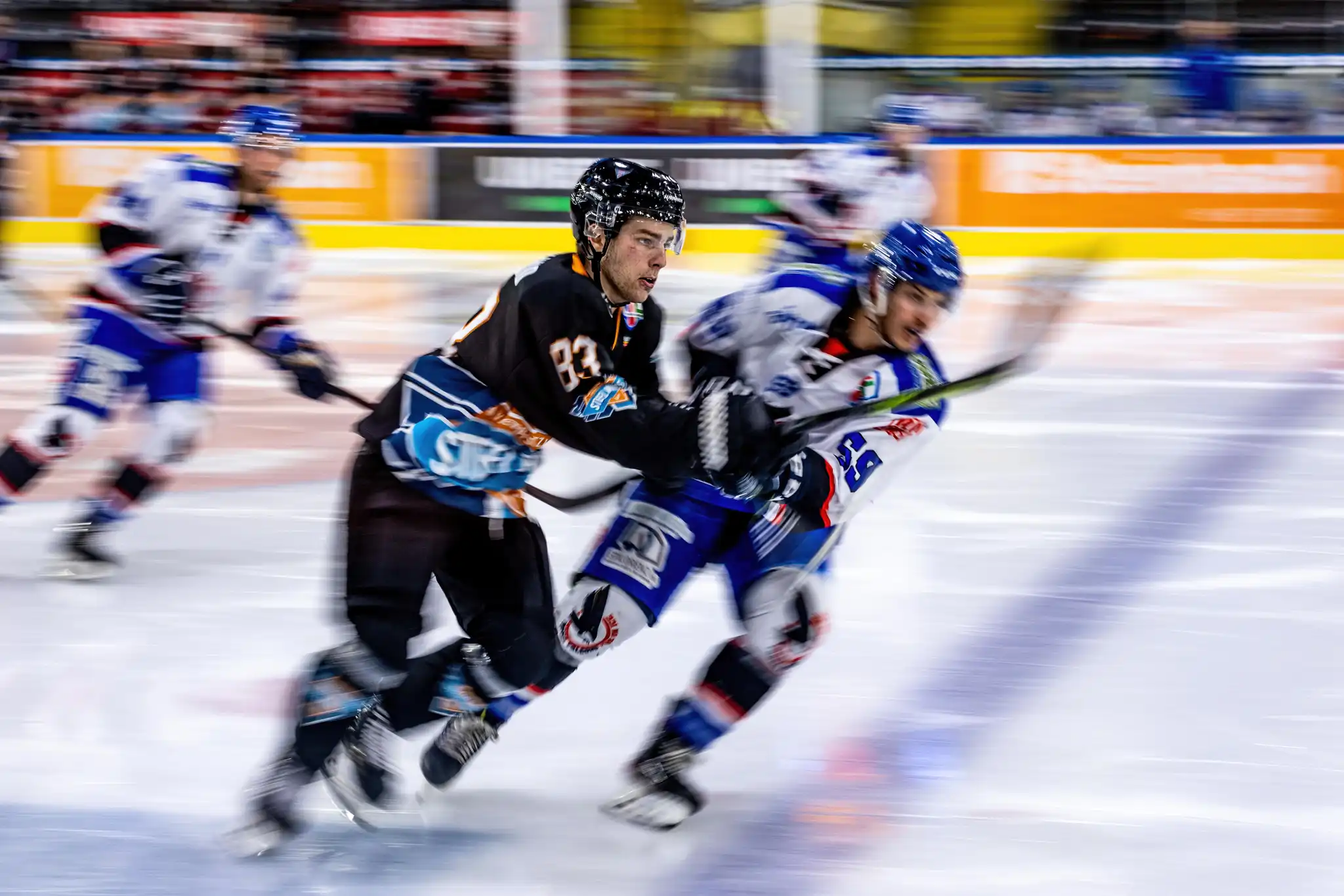 Steinbach Black Wings Linz