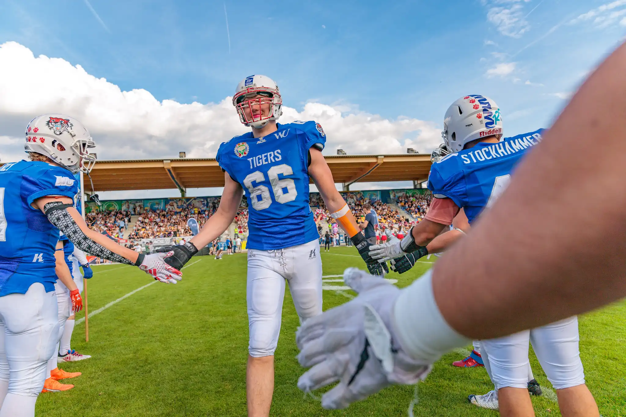 American-Football-Spieler in blauen Trikots, darunter ein lächelnder Spieler der Tigers mit der Nummer 66, stehen auf dem Spielfeld und reichen sich die Hände vor einer Zuschauertribüne 