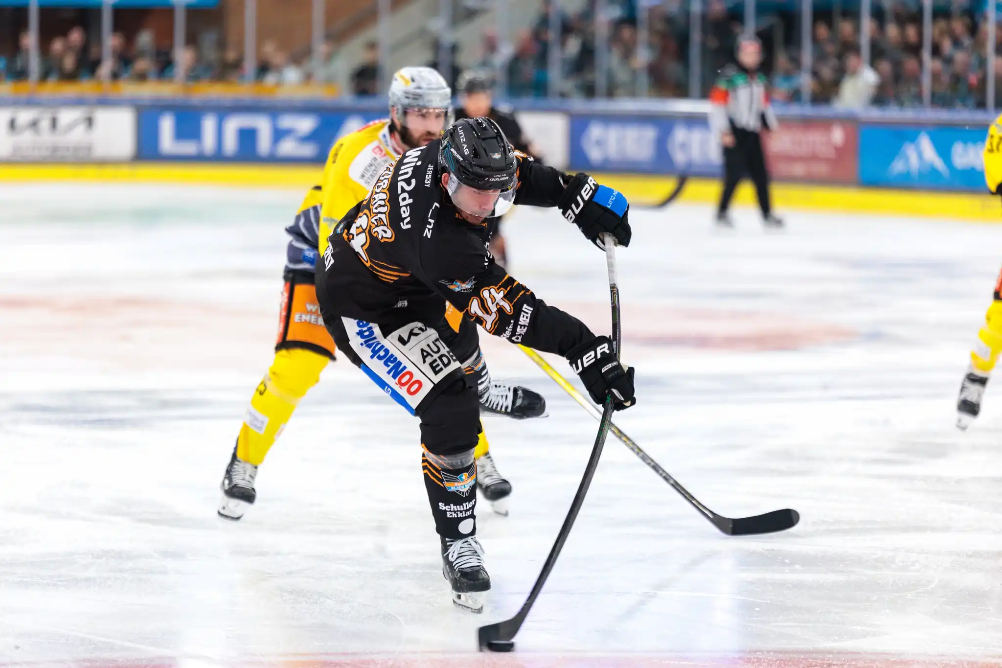Der Stürmer der Black Wings Linz, Graham Knott, führt den Puck mit seinem Schläger über das Eis, während ein Spieler der Vienna Capitals ihn zu verteidigen versucht