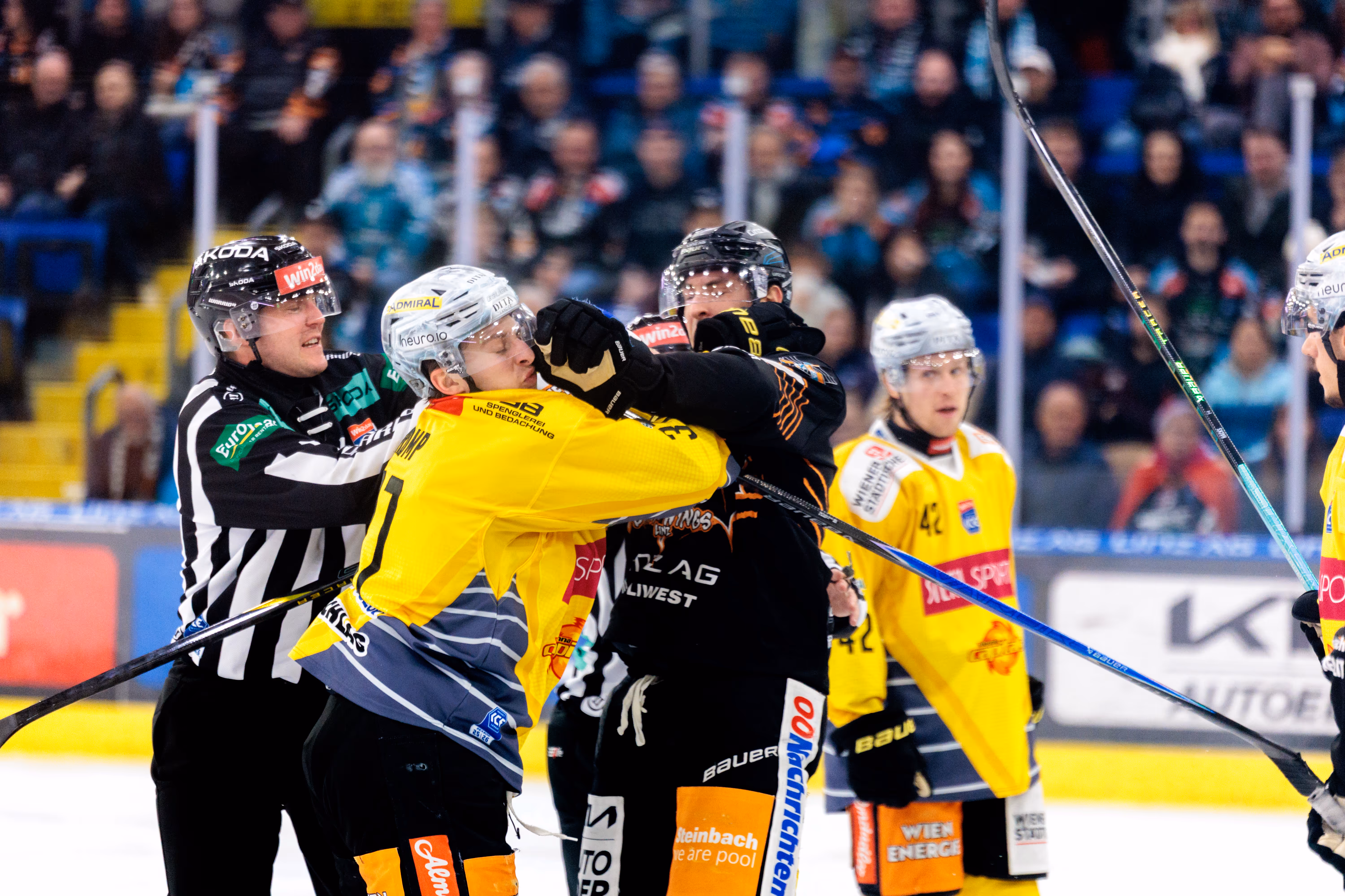 Ein Schiedsrichter greift während des ICE Hockey Liga Spiels zwischen den Black Wings Linz und den Vienna Capitals bei einem Handgemenge zwischen zwei Spielern ein