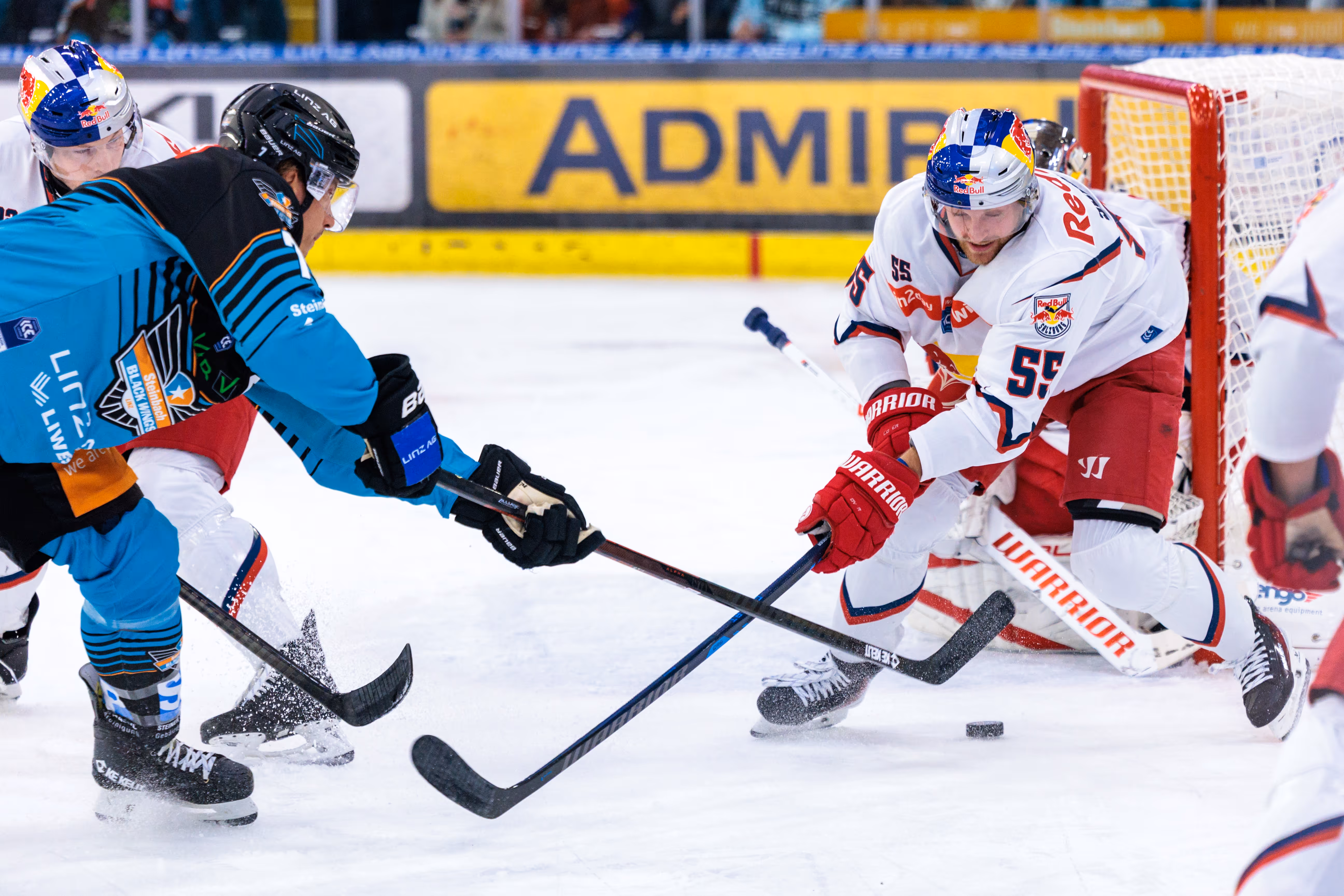 Ein Spieler der Steinbach Black Wings Linz liefert sich einen intensiven Zweikampf mit einem Verteidiger des EC Red Bull Salzburg um den Puck direkt vor dem Tor