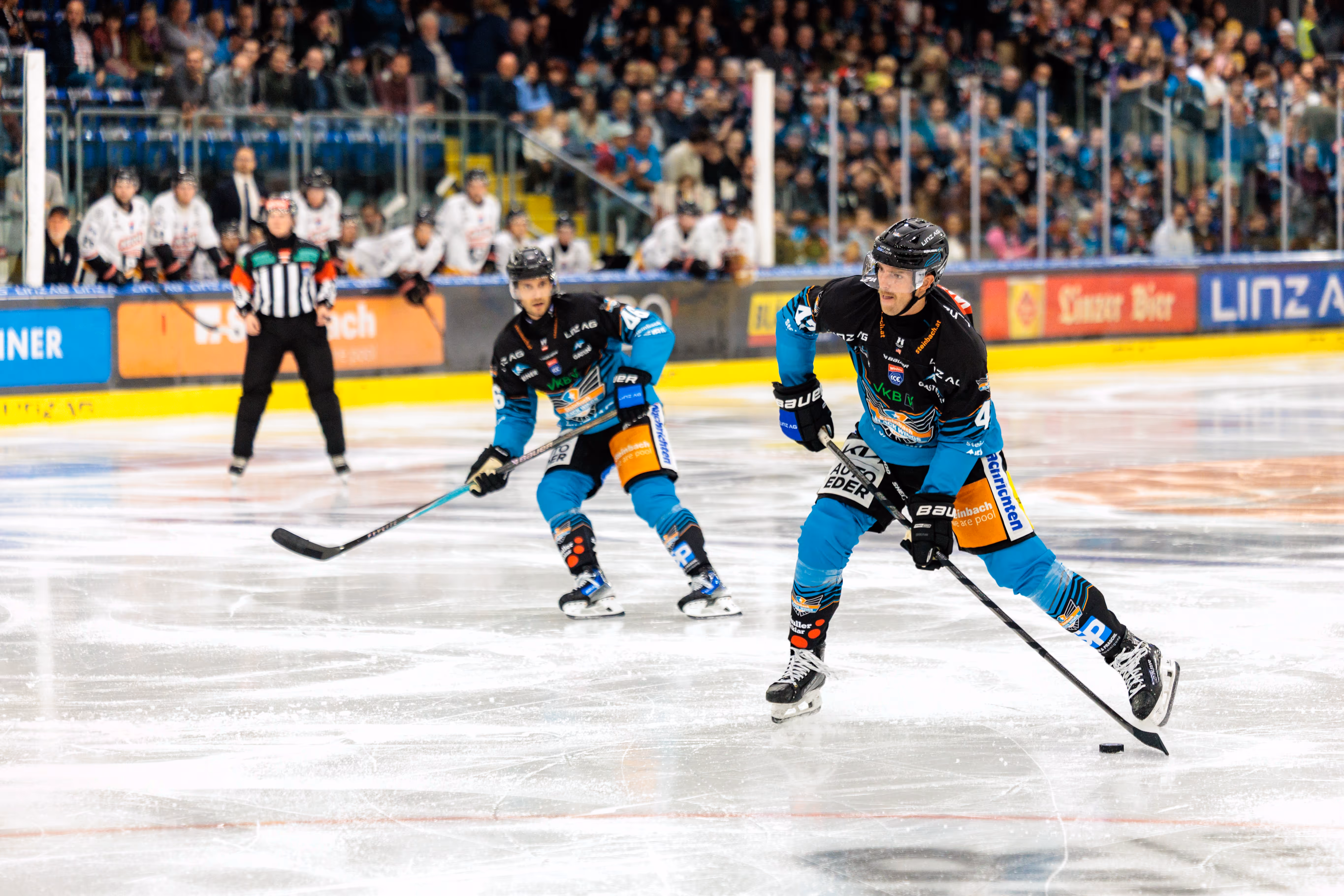 Eishockeyspieler Ryan MacKinnon der Black Wings Linz mit der Nummer 4 skatet mit dem Puck über das Eis während eines Spiels