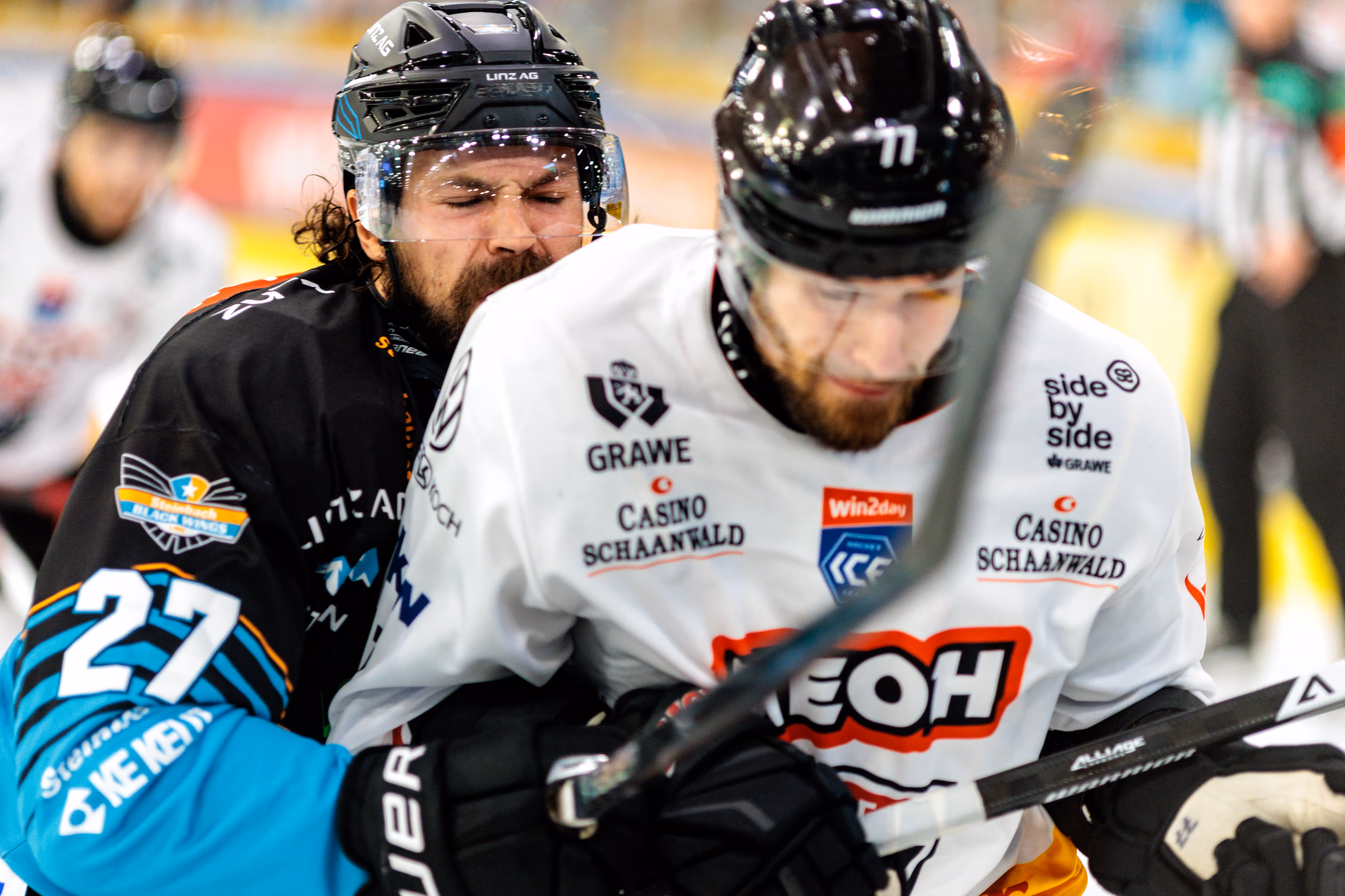 Die Eishockeyspieler Shawn St-Amant von den Steinbach Black Wings Linz und ein Spieler der Pioneers Vorarlberg liefern sich einen packenden Zweikampf an der Bande