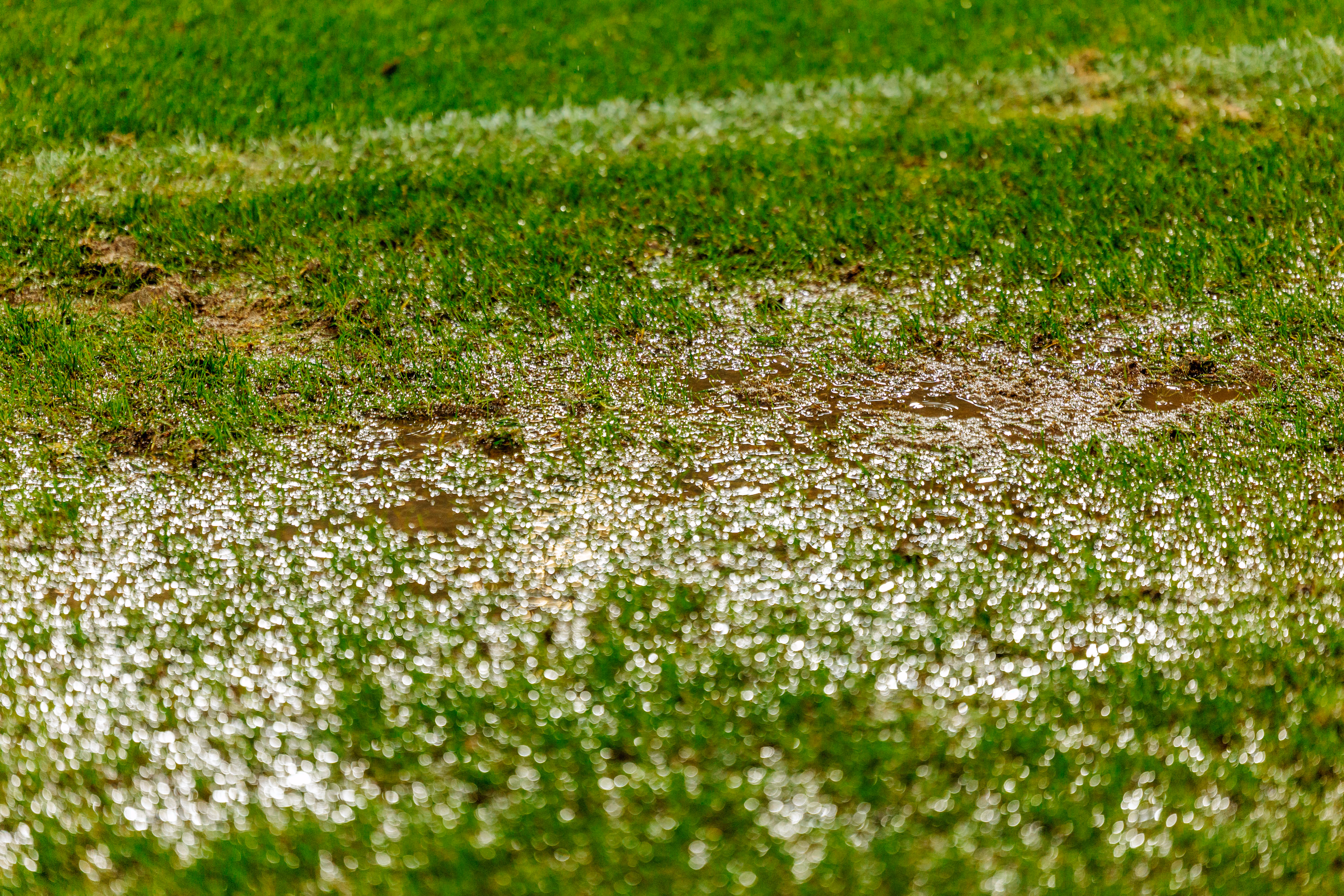 Detailaufnahme eines durchnässten und schlammigen Fußballrasens, auf dem sich nach starkem Regen Wasser in Pfützen gesammelt hat