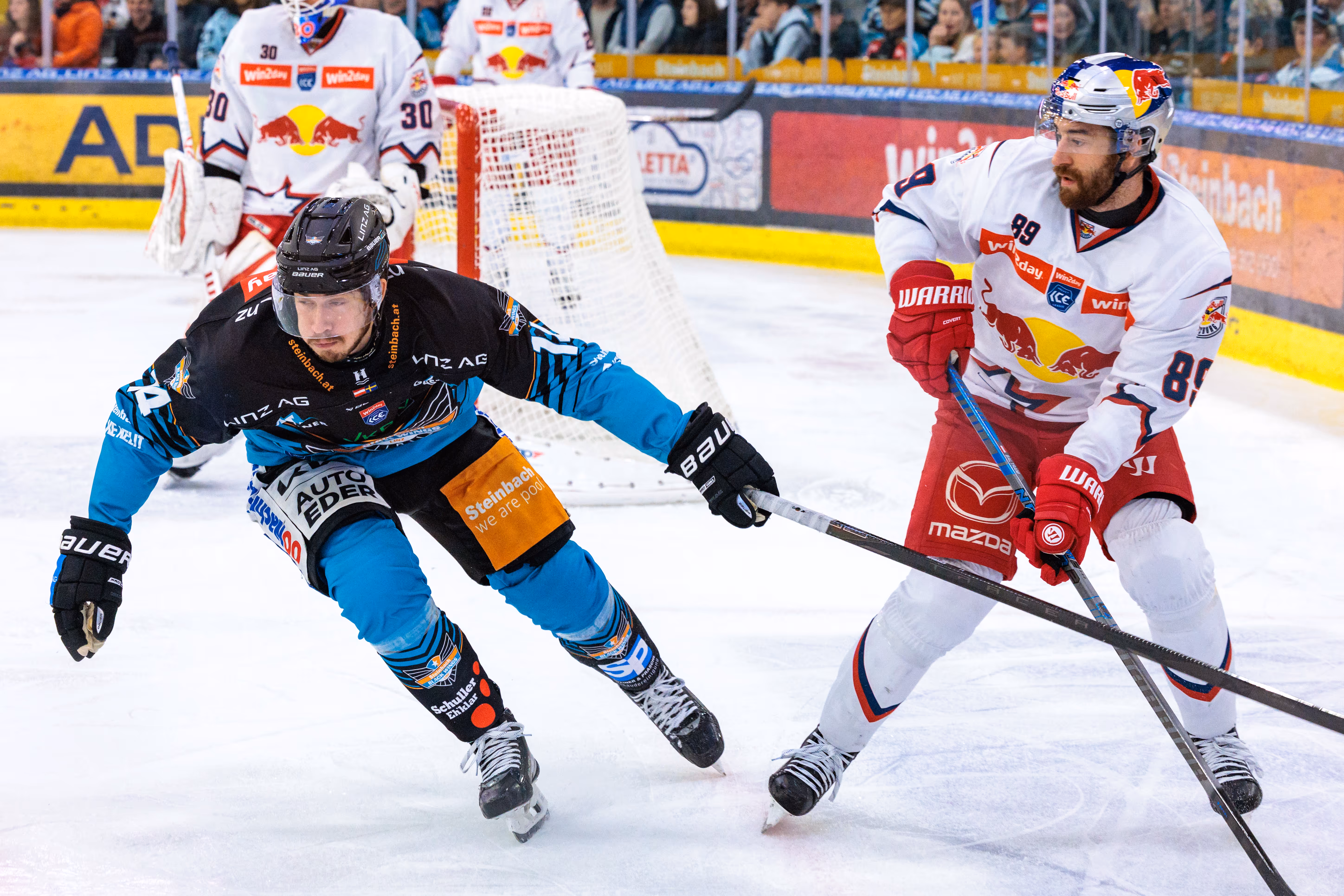 Florian Baltram vom EC Red Bull Salzburg im Eishockey-Zweikampf mit Henrik Neubauer der Steinbach Black Wings Linz vor dem gegnerischen Tor