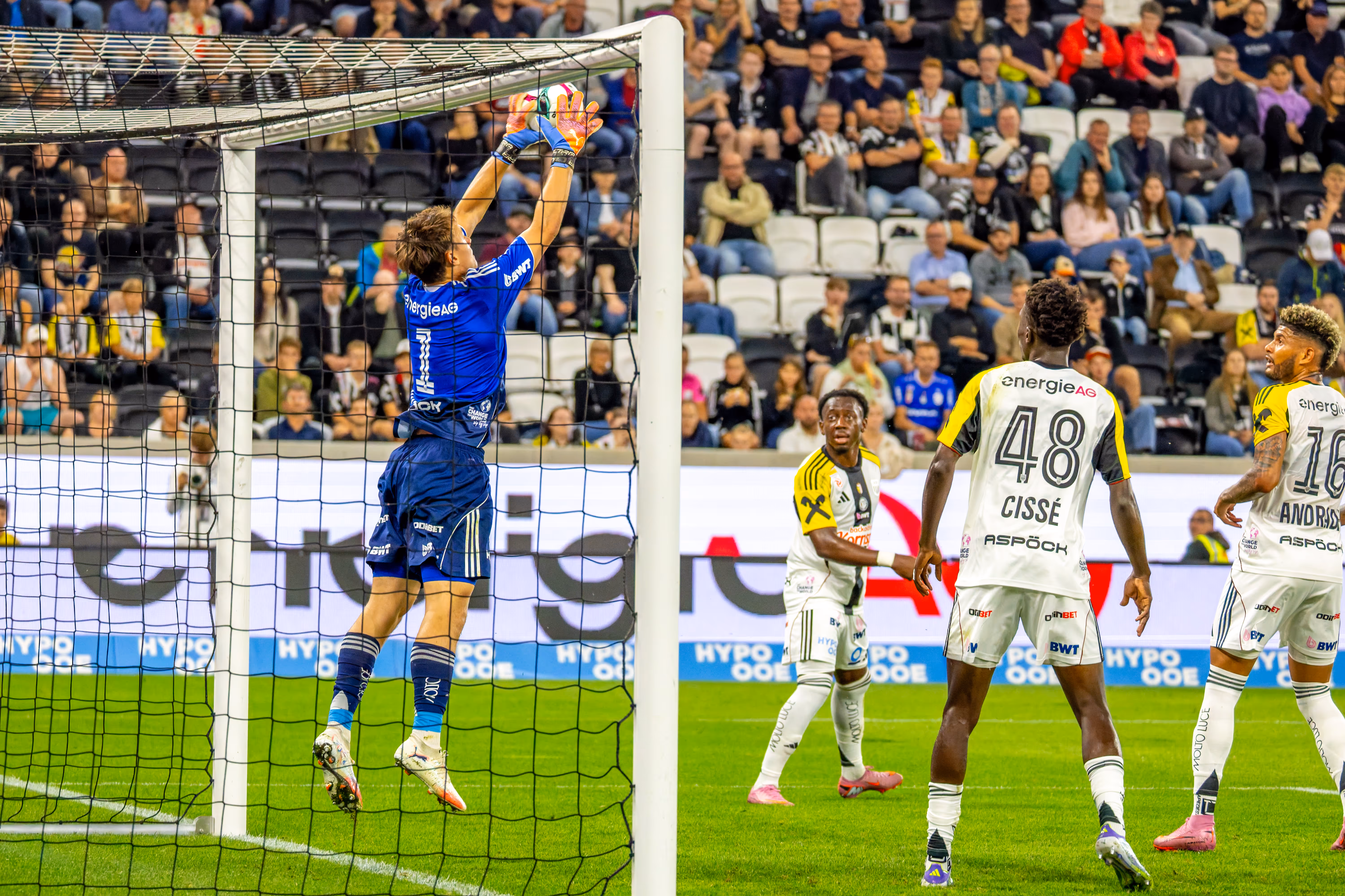 Ein Fußballtorhüter in blauem Trikot fängt im Sprung den Ball am Tor, während andere Spieler in weißen Trikots und Fans im Stadion zuschauen