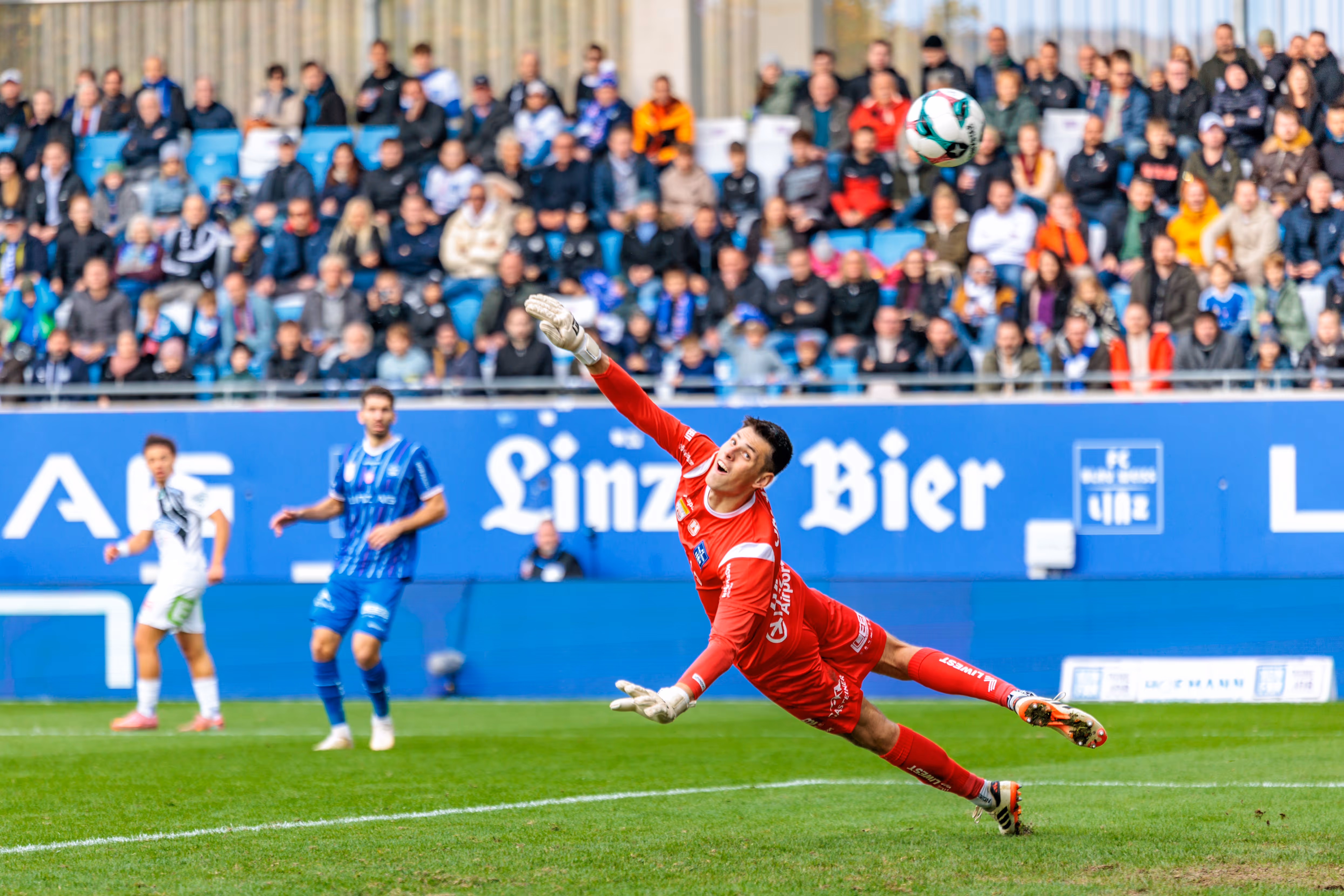 Sturm-Graz-Torhüter Matteo Bignetti zeigt eine spektakuläre Glanzparade im Bundesligaspiel gegen den FC Blau-Weiß Linz