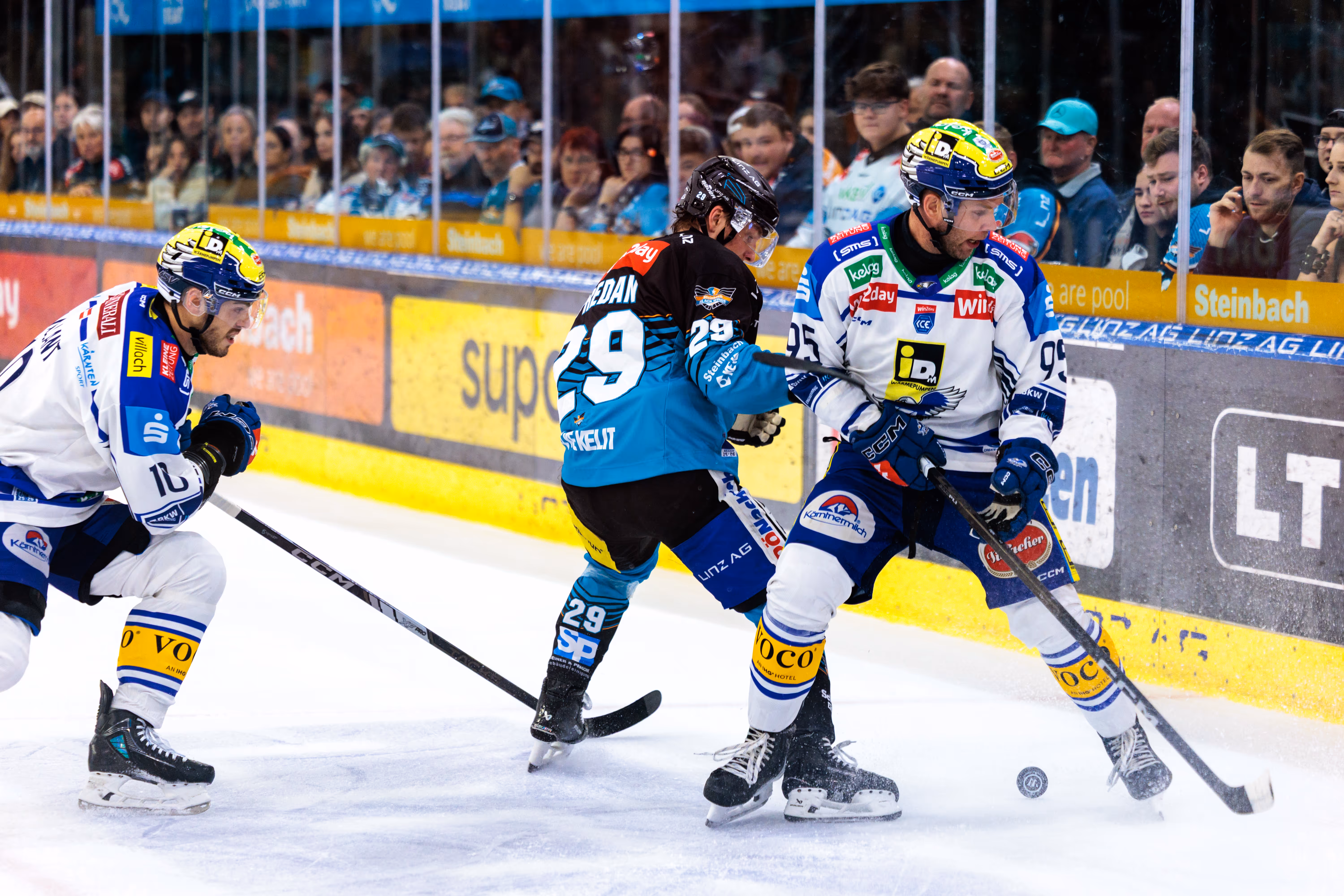Die Eishockeyspieler Predan und Katic im Zweikampf um den Puck auf dem Eis während eines ICEHL-Spiels