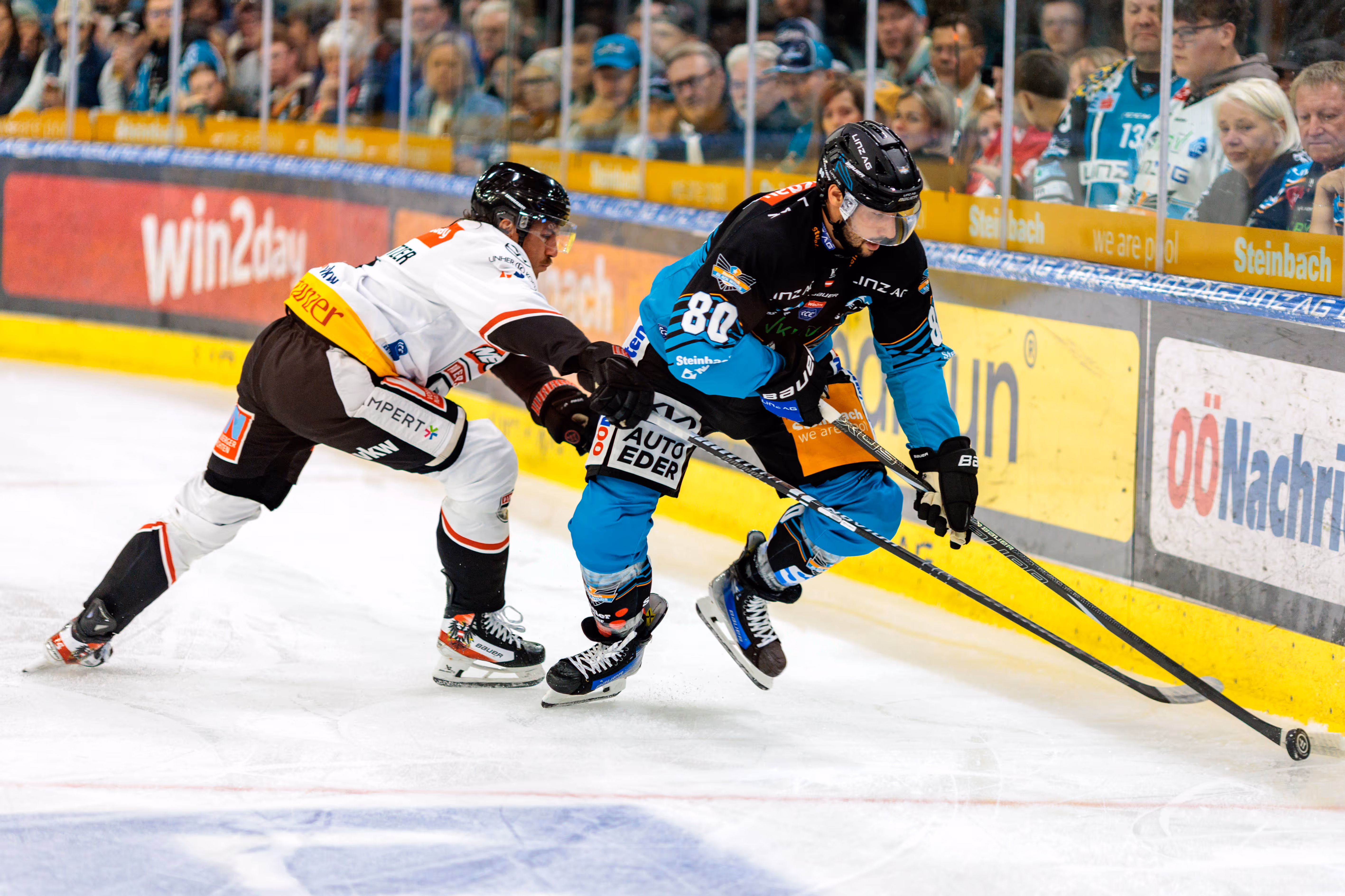 Eishockeyspieler Julian Pusnik (Nr. 80) der Black Wings und Mark Mussbacher in einem weiß-schwarz-roten Trikot kämpfen während eines Spiels auf dem Eis um den Puck
