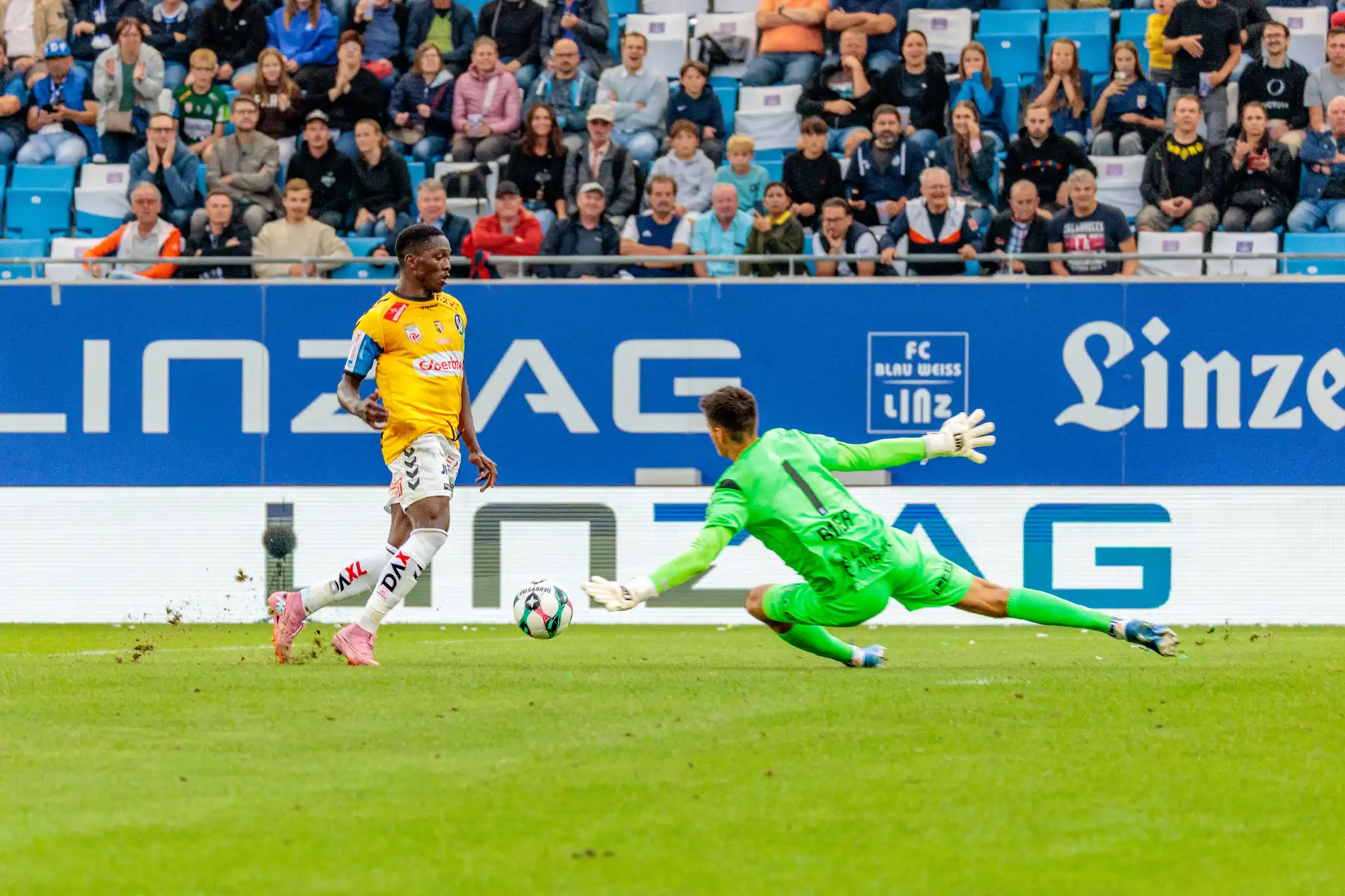 Ein SV Ried Spieler im gelben Trikot schießt auf das Tor, welches vom Blau-Weiß Linz Torhüter in grünem Dress mit einer Flugparade verteidigt wird, vor der Kulisse der Zuschauer
