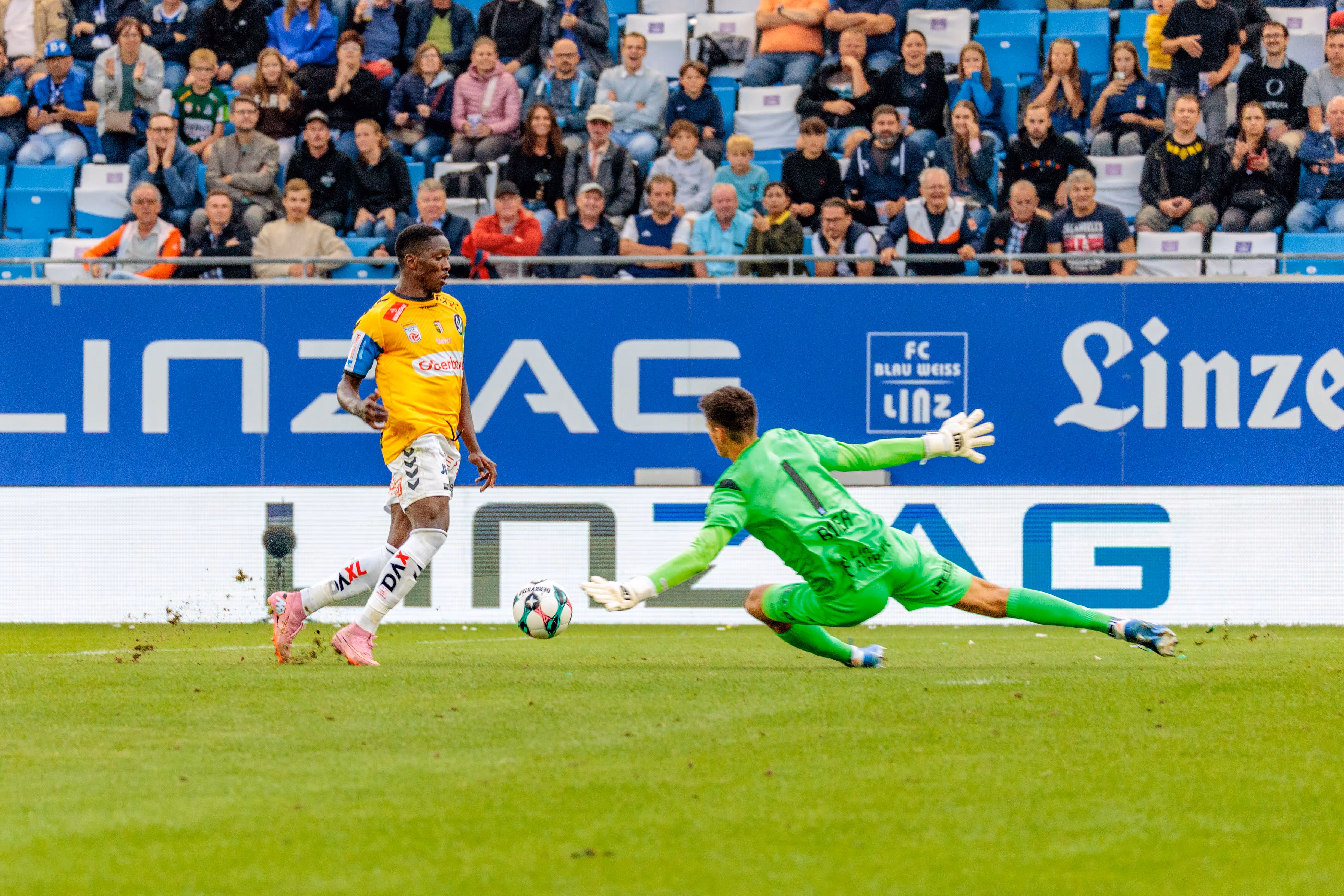 Ein SV Ried Spieler im gelben Trikot schießt auf das Tor, welches vom Blau-Weiß Linz Torhüter in grünem Dress mit einer Flugparade verteidigt wird, vor der Kulisse der Zuschauer