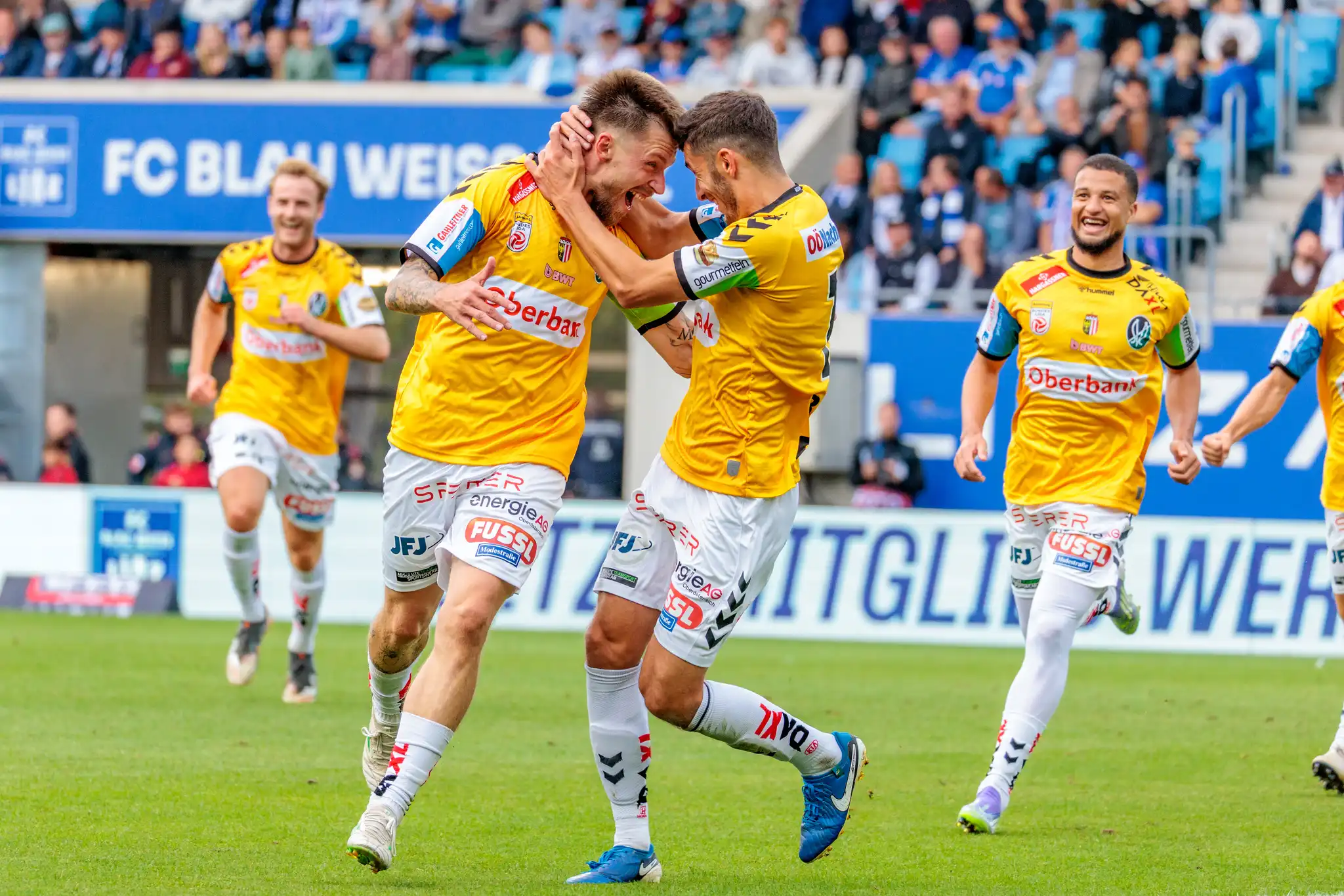 Drei Fußballspieler der SV Ried in gelben Trikots feiern ausgelassen ein Tor während eines Bundesligaspiels