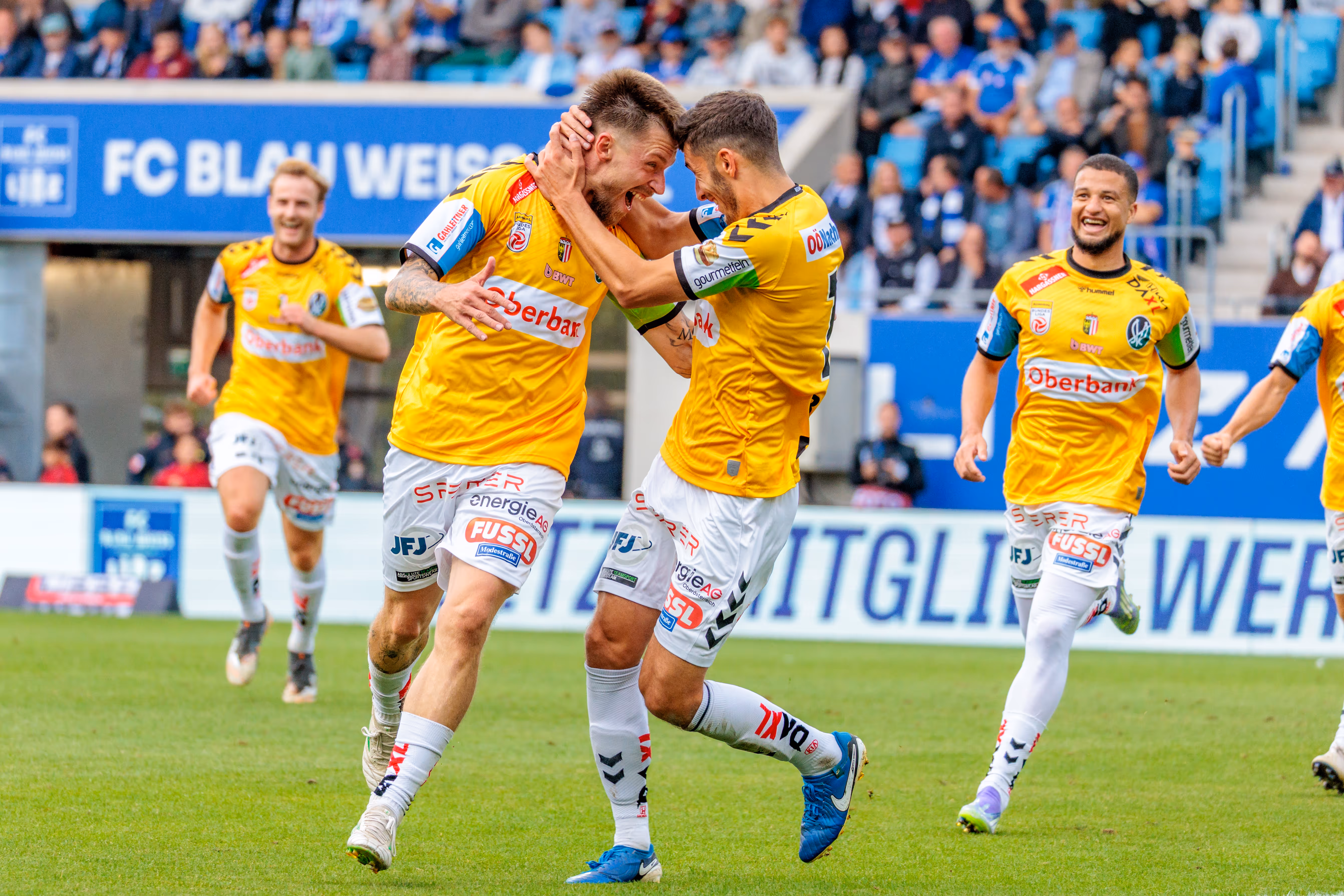 Drei Fußballspieler der SV Ried in gelben Trikots feiern ausgelassen ein Tor während eines Bundesligaspiels