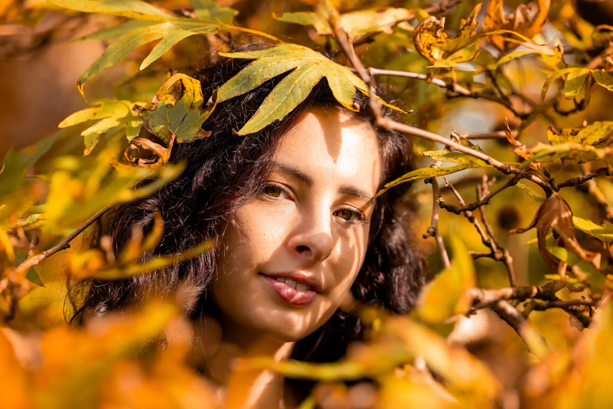 Herbst Shooting