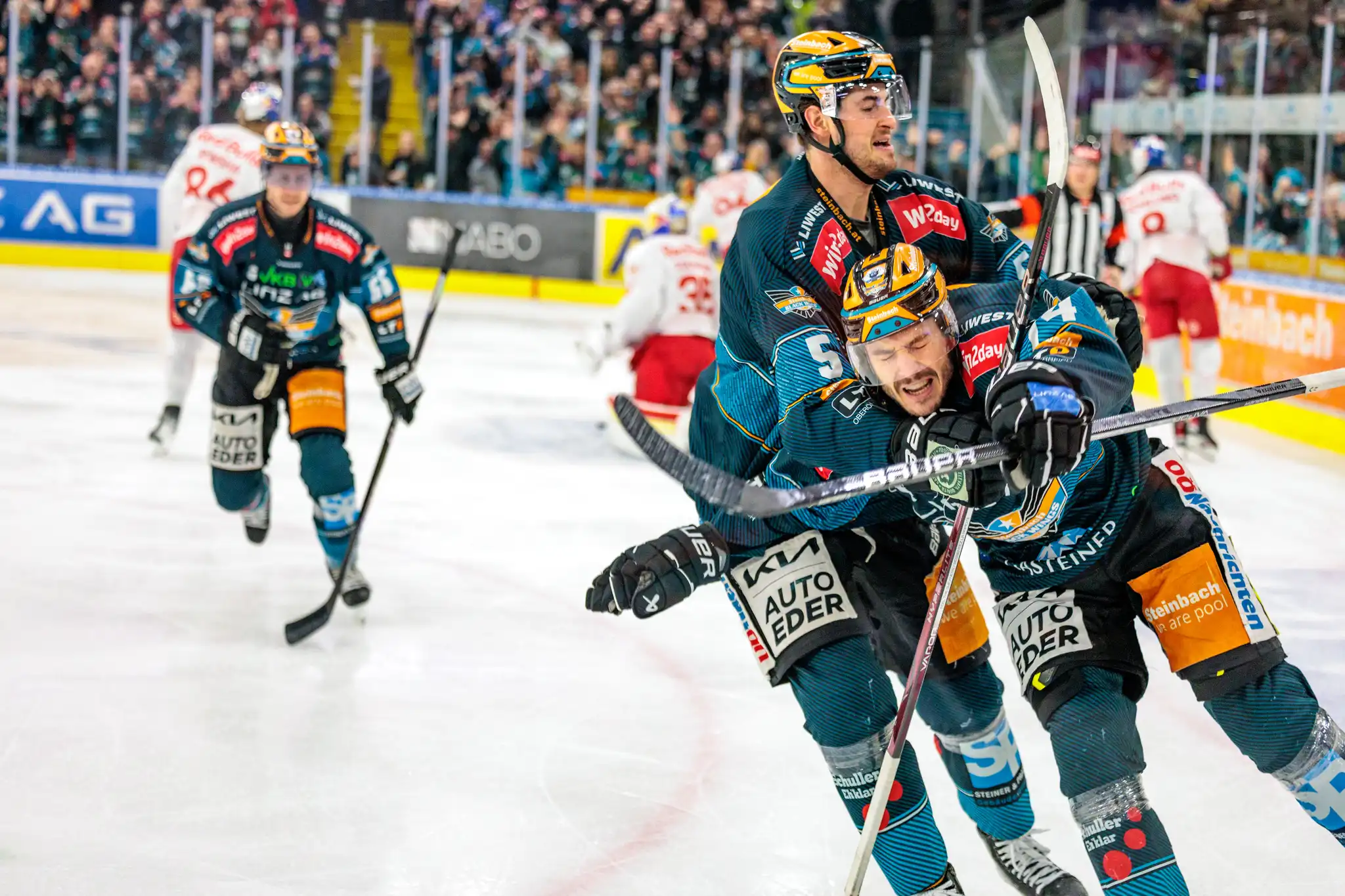 ICE Hockey League - Black Wings Linz