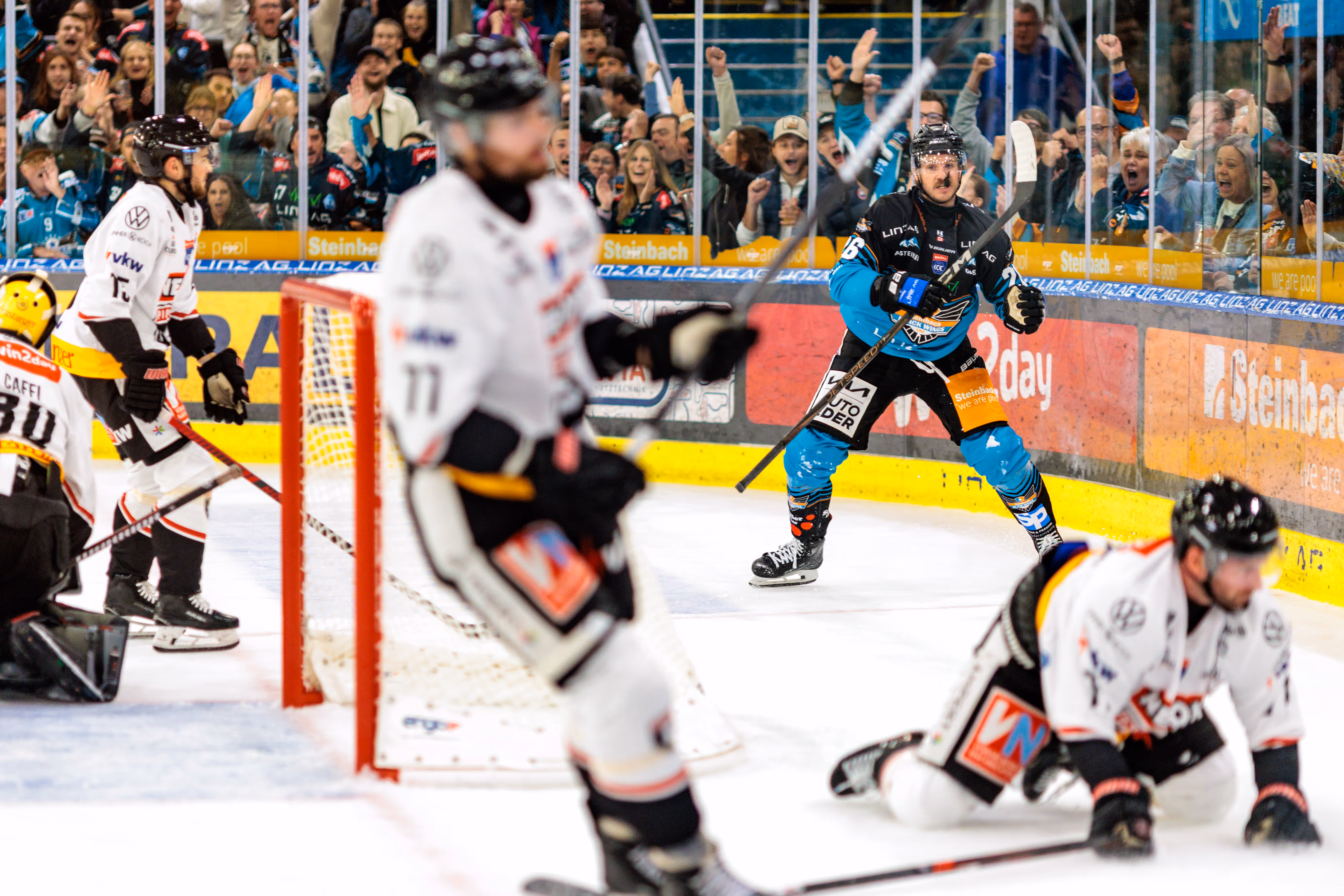 Ein Eishockey-Spieler der Black Wings Linz feiert auf dem Eis ein Tor vor jubelnden Fans, während im Vordergrund Spieler der Pioneers Vorarlberg zu sehen sind