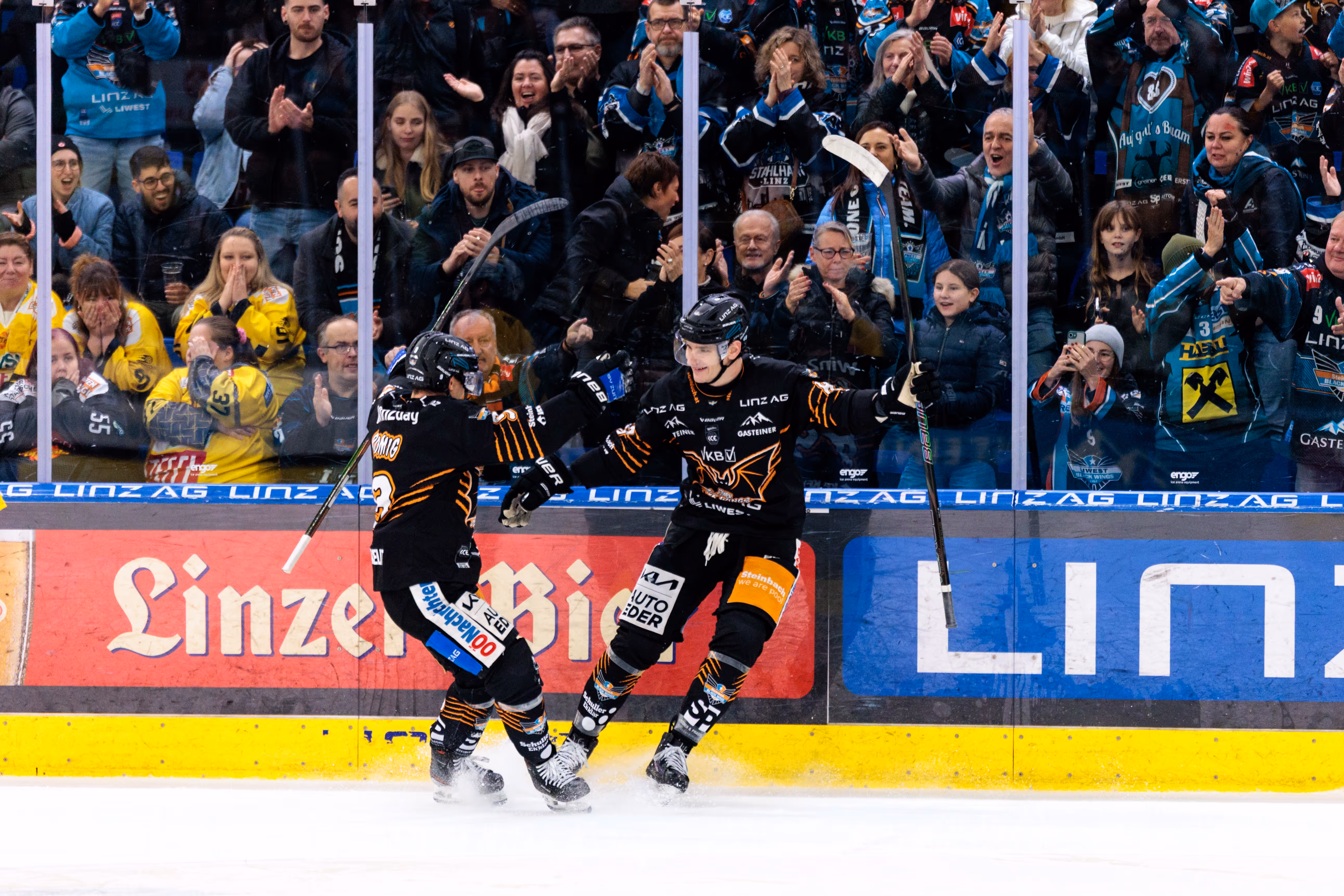 Die Eishockeyspieler der Black Wings Linz, Julian Pusnik und Graham Knott, bejubeln gemeinsam einen Treffer auf dem Eis, während die Fans im Hintergrund begeistert applaudieren