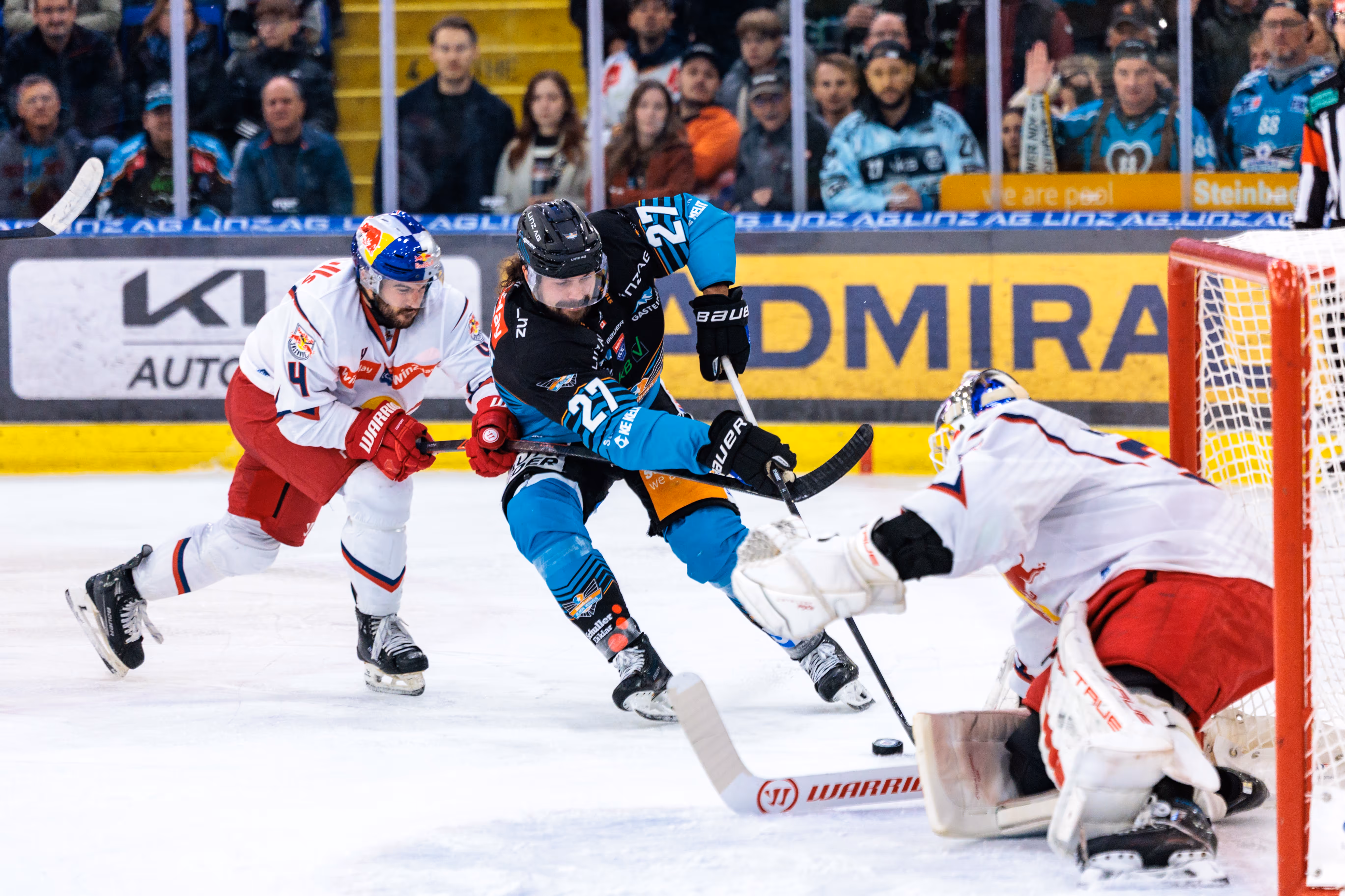 Der Eishockeyspieler Shawn St-Amant von den Steinbach Black Wings Linz versucht während des Spiels gegen den EC Red Bull Salzburg ein Tor zu erzielen
