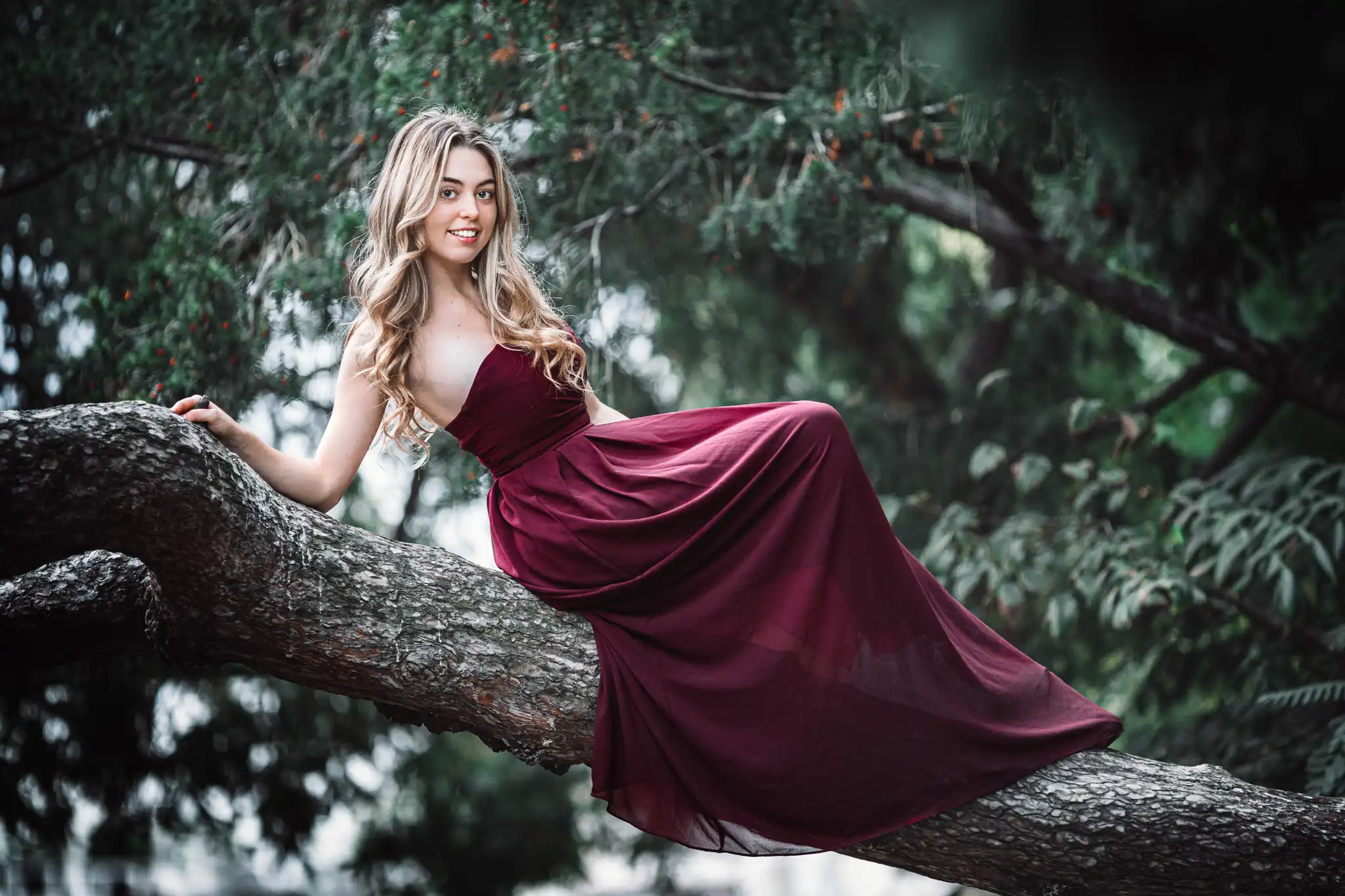 Model Valentina sitzt für ein Porträtshooting im Wiener Stadtpark in einem eleganten, weinroten Kleid auf dem dicken Ast eines Baumes