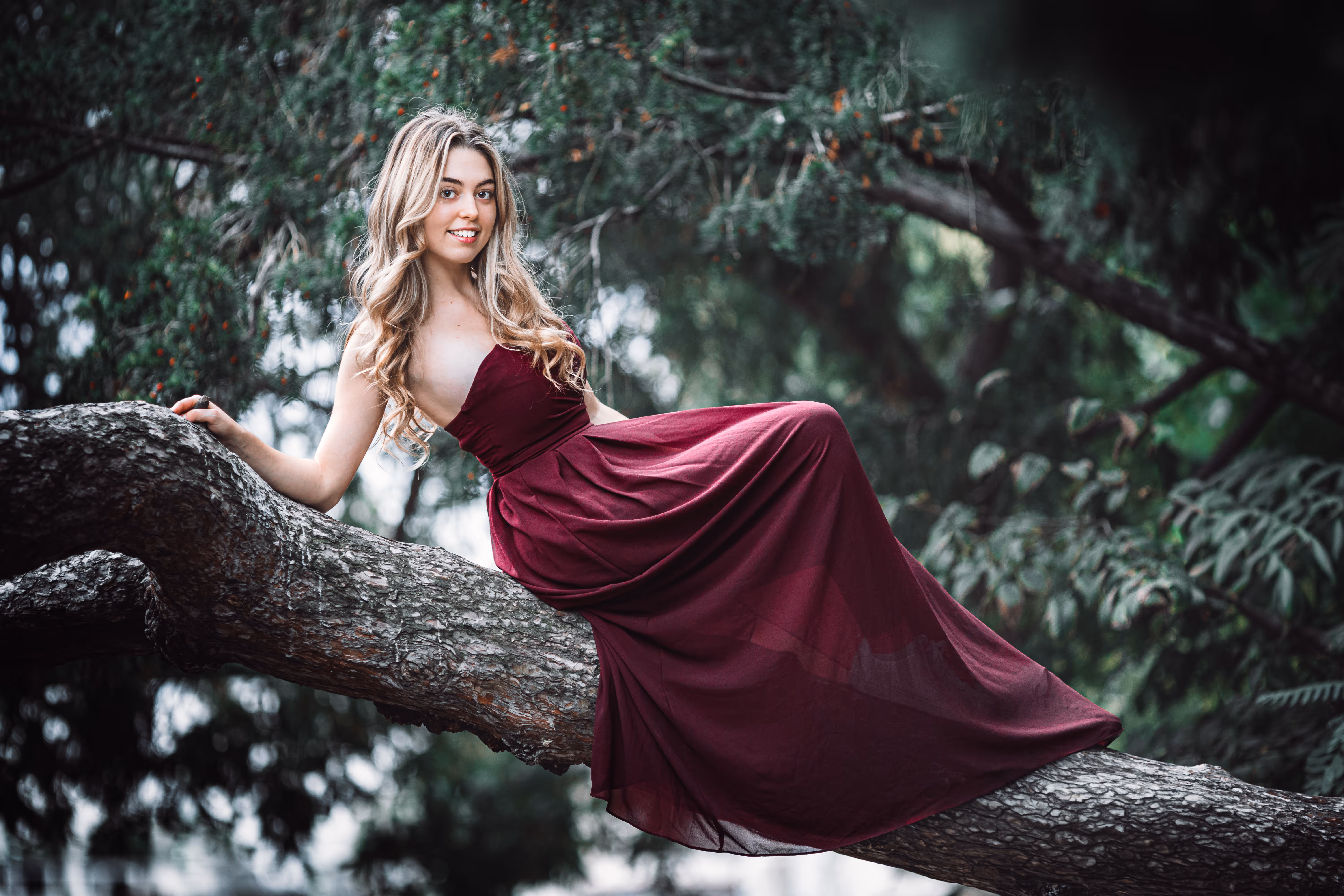Model Valentina sitzt für ein Porträtshooting im Wiener Stadtpark in einem eleganten, weinroten Kleid auf dem dicken Ast eines Baumes