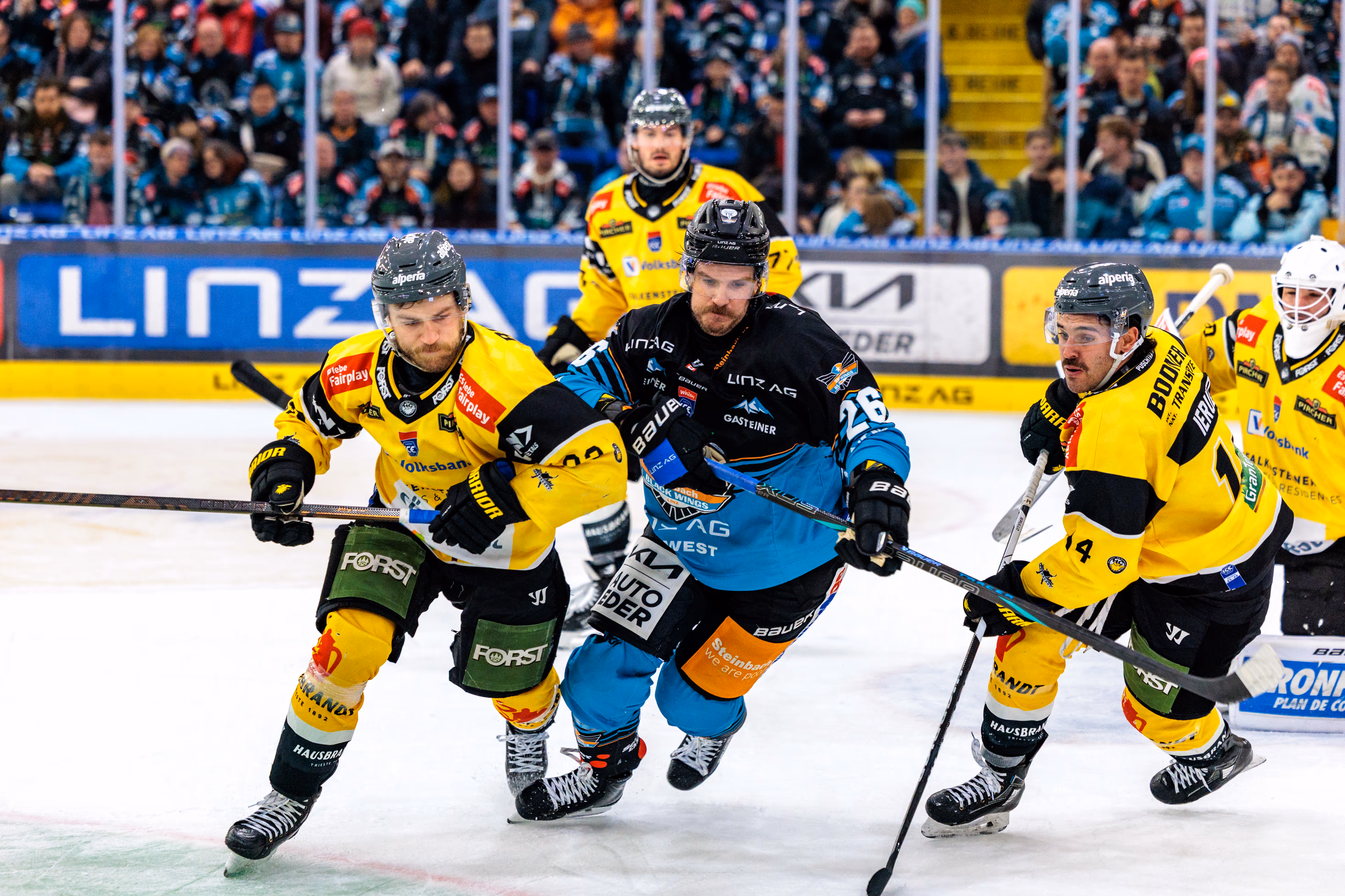 Der Eishockeyspieler Travis Barron (#26) von den Black Wings Linz in einem intensiven Zweikampf um den Puck gegen die Spieler des HC Pustertal